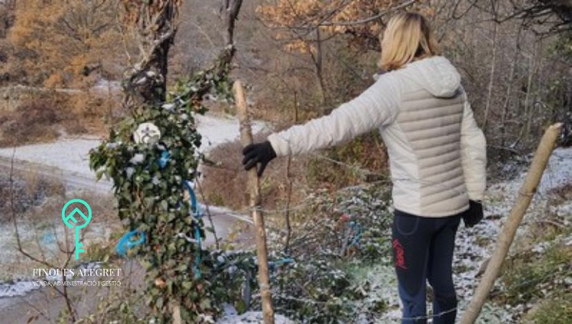 Rutas botánicas de invierno y paisaje de estación fría