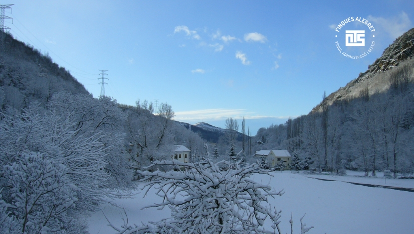 1. Raquetas de nieve, introducirte en el paisaje silencioso