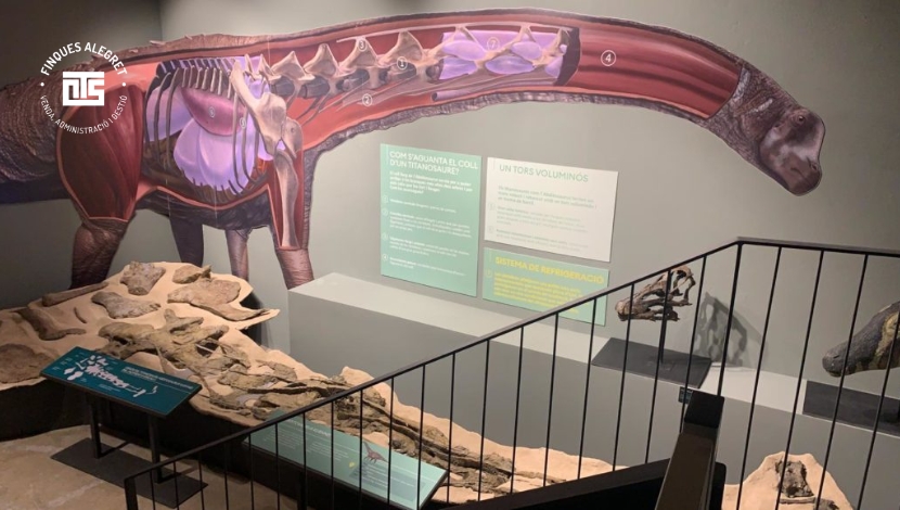 Visitar el Museu de la Conca Dellà