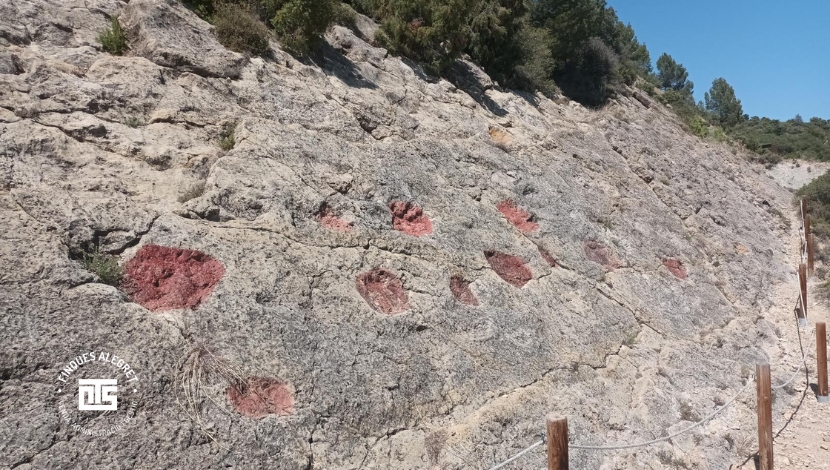 Huellas de dinosaurios en Isona i Conca DellàBasturs y Orcau  en 