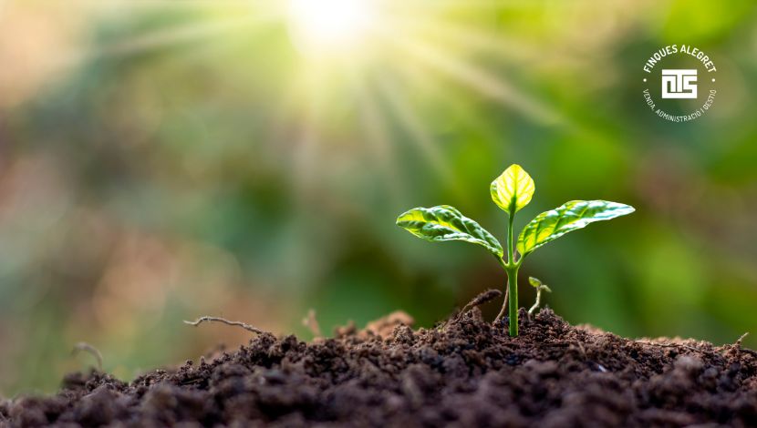 Aventura, naturaleza y relax: todo a tu alcance en Conca de Dalt