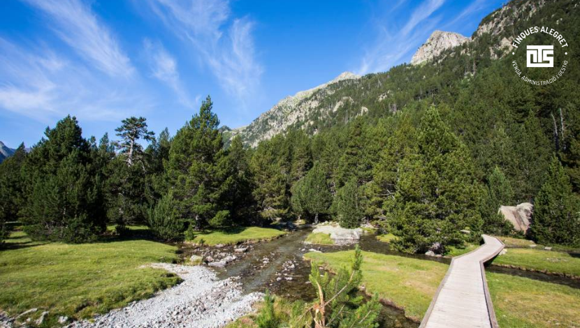 Miradores, fotografía y momentos para guardar
