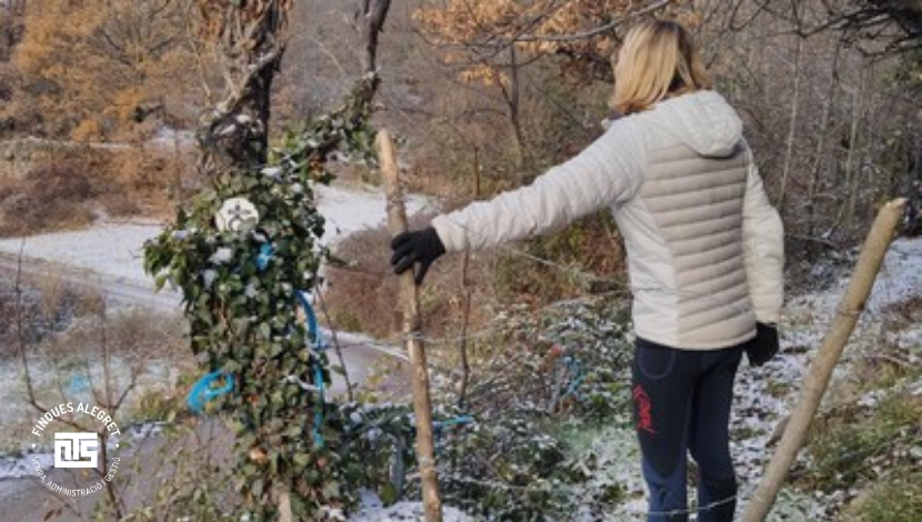 Rutas botánicas de invierno y paisaje de estación fría