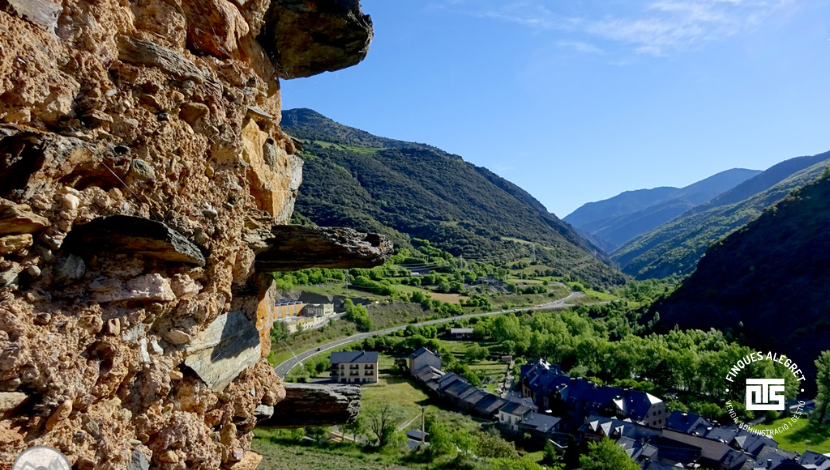 8. Fotografía, observación de aves y naturaleza en estado puro