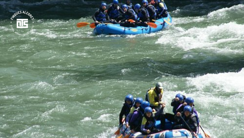 8. Planes para familias: actividades seguras y educativas