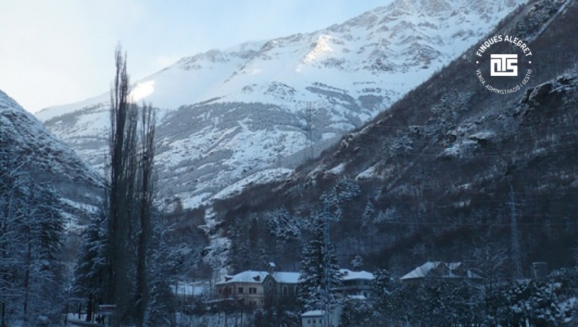 9. Actividades familiares seguras, juegos en la nieve y pequeñas aventuras