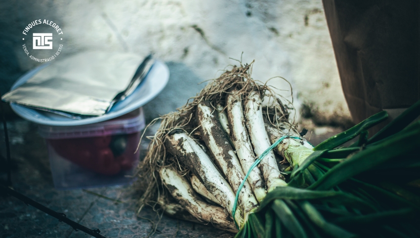 Gastronomía local en Isona i Conca Dellà