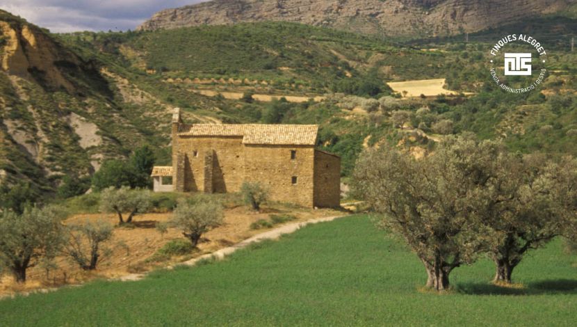 ¿Qué ver y hacer en Conca de Dalt? 