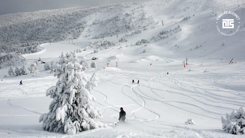 Observación de fauna y rastros en nieve, una experiencia educativa