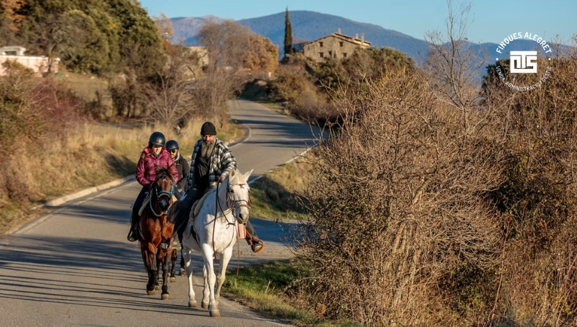 7. Excursiones cercanas de alto impacto: el Congost de Mont-rebei y más
