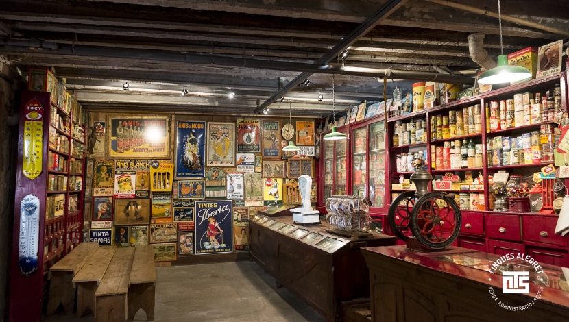 Talleres de invierno y actividades bajo techo, aprender entre mantas