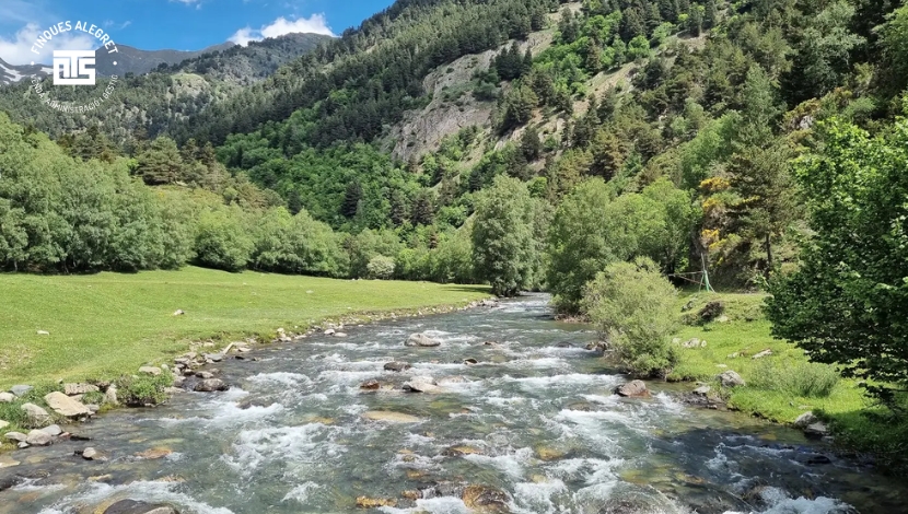 Pozas, ríos y baños naturales para el verano
