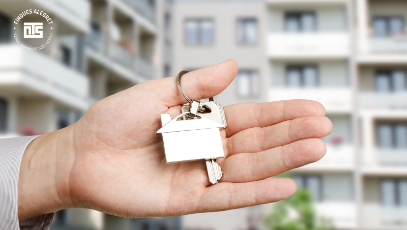 Presentación óptima_ home staging, fotos y marketing inmobiliario