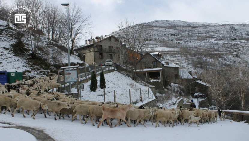 Rialp, Espot y Port Ainé_ esquí, montaña y segunda residencia