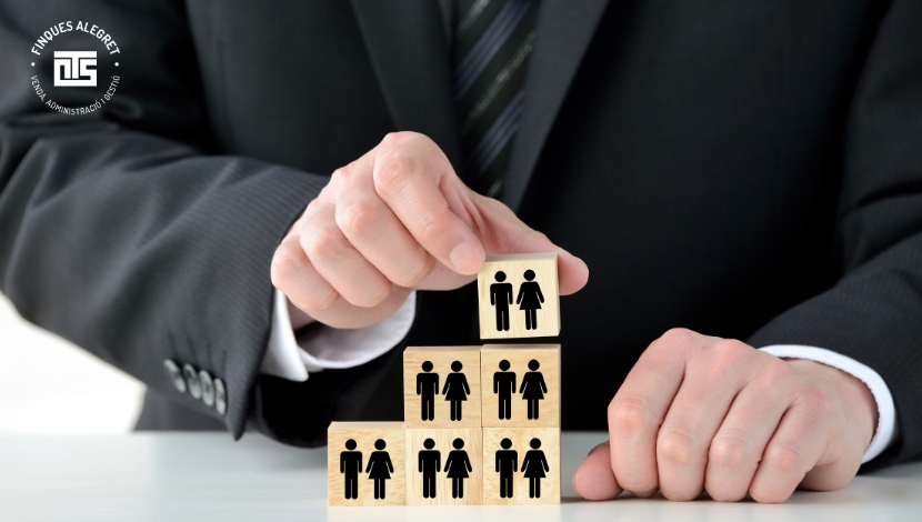 Cuando hay varios herederos, cómo actuar si no hay consenso