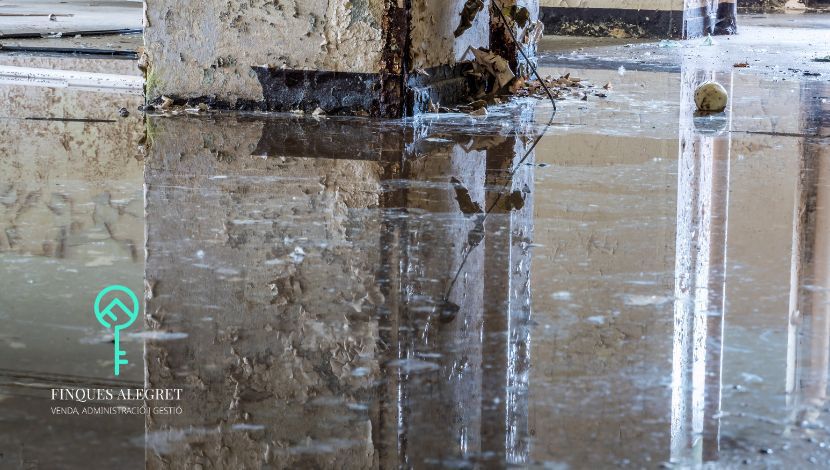 Daños por agua en comunidades